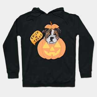 Trick Or Treat - Halloween - Pumpkin Hoodie